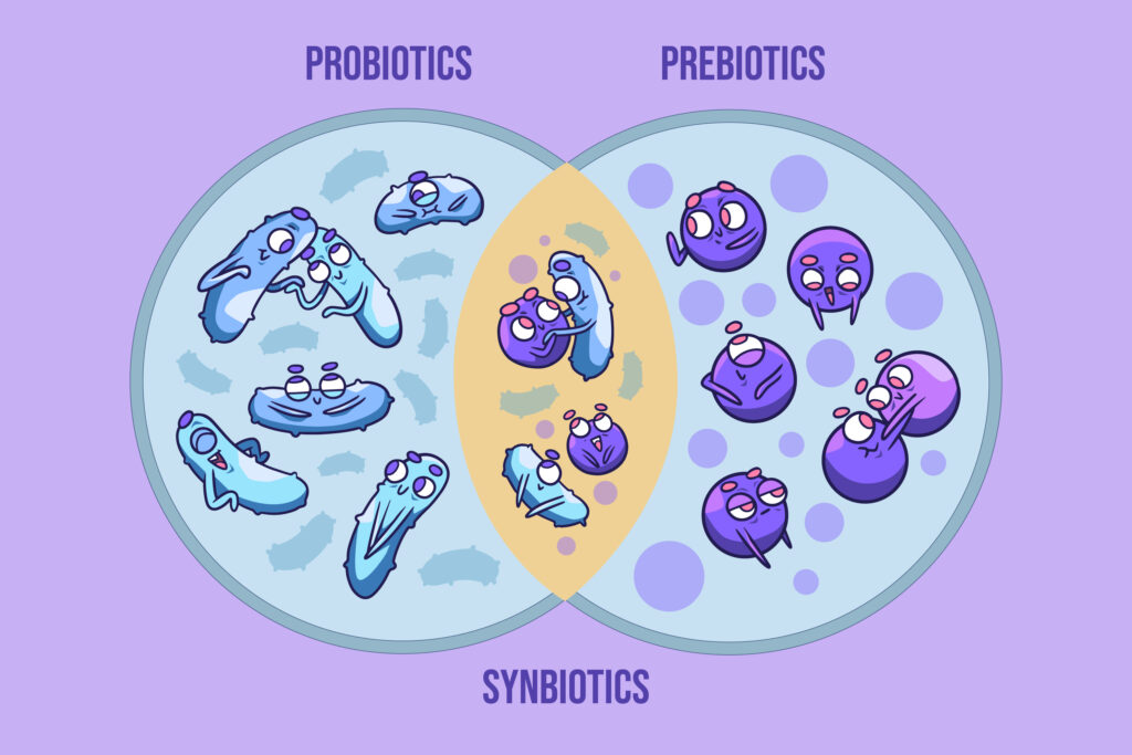 Alimentos prebióticos y probióticos